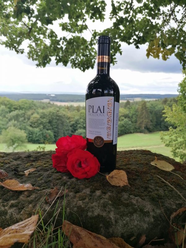 PLAI Merlot Syrah RESERVA 2017 Rotwein trocken – Bild 3